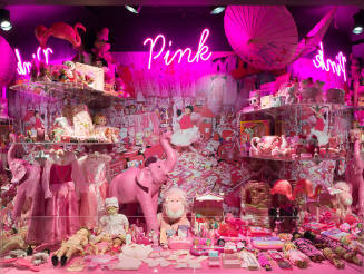 Pink: The History of a Punk, Pretty, Powerful Color exhibition installation view of a room of p…