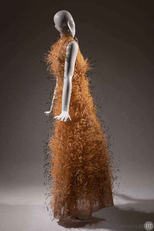 Orange feathered floor-length dress
