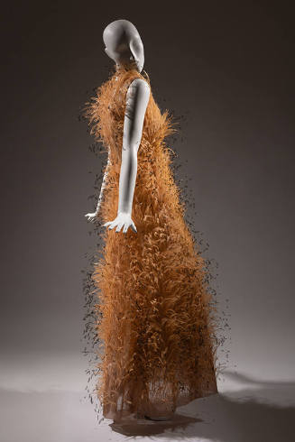 Orange feathered floor-length dress