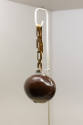 Close up view of a brown chestnut shaped bag in the “Specimens” case of the Fashioning Wonder e…