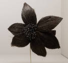 Brown horsehair hair comb in the shape of large flower