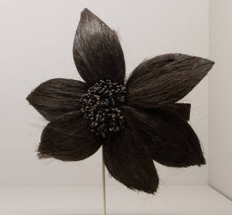 Brown horsehair hair comb in the shape of large flower