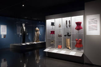 Dress, Dreams, and Desire exhibition introductory gallery with accessories and costume