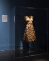 Dress, Dreams and Desire exhibition installation view of a dress covered in hair inside a case