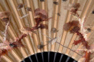 Close up of hand painted thistle and bee design on beige folding fan