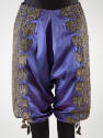 Changeant purple pantaloons with hand embroidered wide, silver and gold band of ivy and stylize…