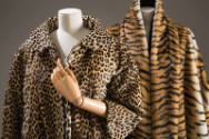 Left: detail of leopard fur jacket with 3/4 sleeves Right: detail of tiger print faux fur jacke…