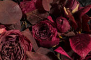 Additional detail view of black wide brimmed hat showing dark red silk and velvet roses and lea…