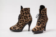 Pair of leopard print high heel lace up ankle boots with black tongue, platform sole and heel